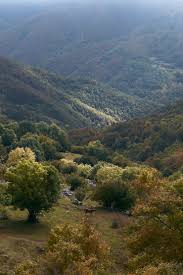 Escapadas/ Naturaleza